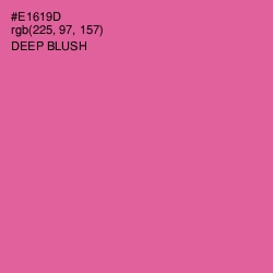 #E1619D - Deep Blush Color Image